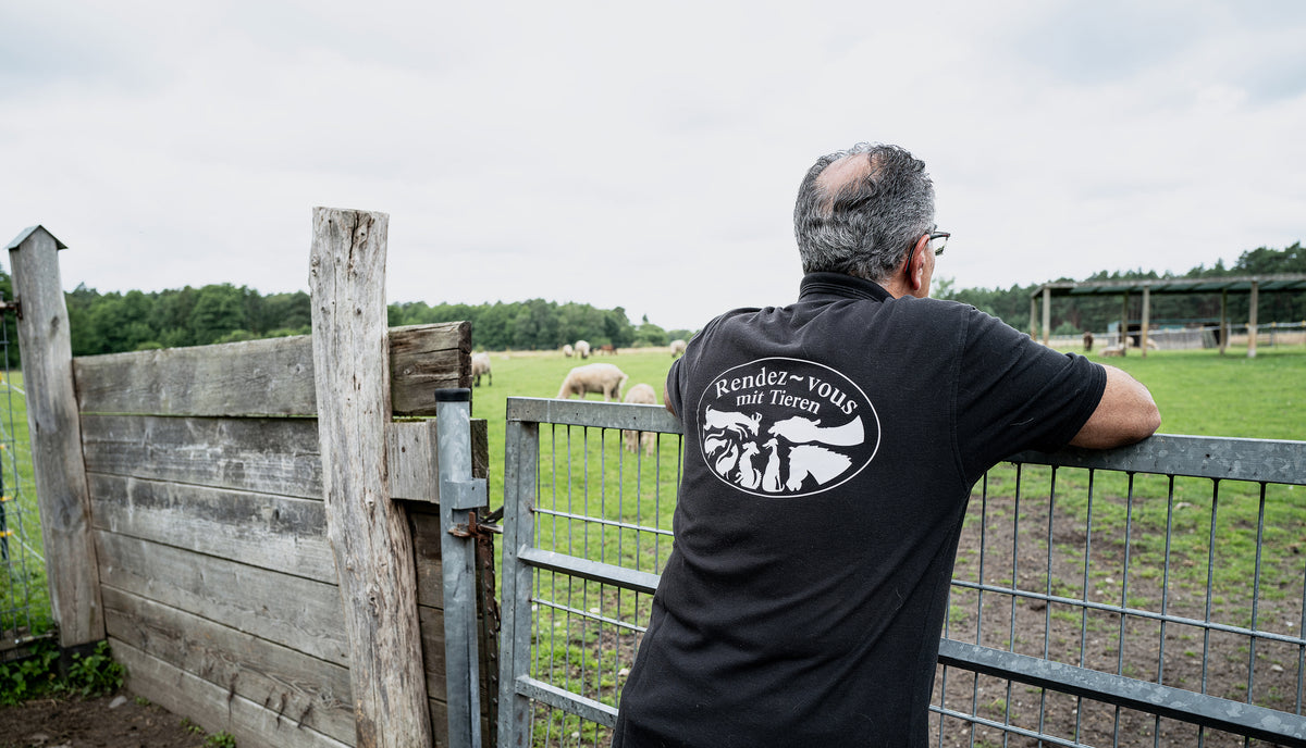 CLOUD7_ Ein Mann mit graumeliertem Haar steht an einem Metalltor und blickt auf eine Wiese mit Schafen. Er trägt ein schwarzes T-Shirt, auf dessen Rücken das Logo „Rendez-vous mit Tieren“ zu sehen ist.
