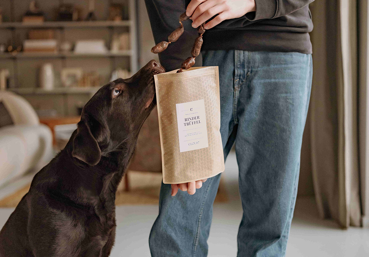 CLOUD7_ Eine Person hält eine Tüte mit Hundeleckerlis in der Hand, während ein schwarzer Hund an einem der Leckerlis schnüffelt und daran zerrt. Sie befinden sich in einem Raum, im Hintergrund sind Regale und ein Sofa zu sehen.