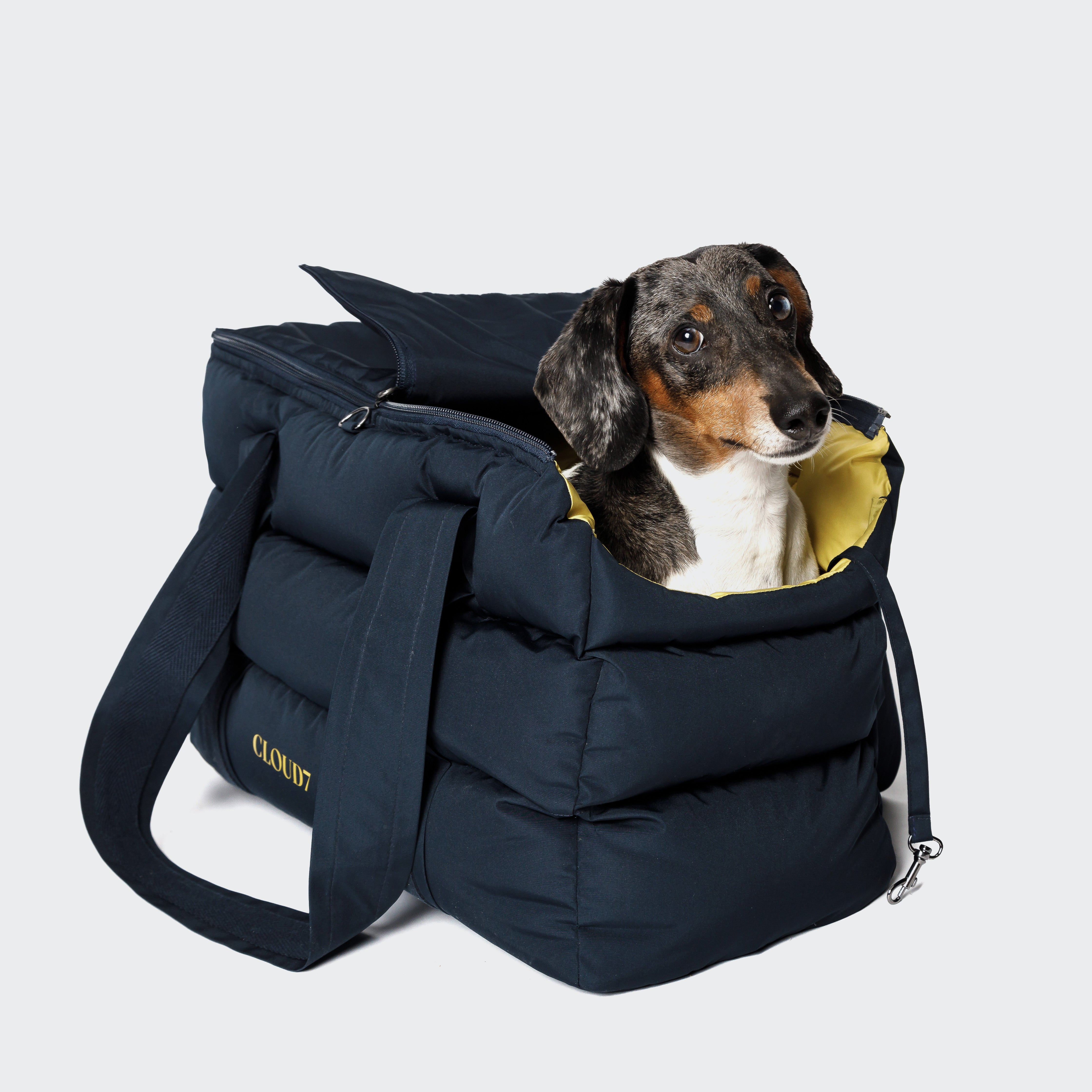 CLOUD7_ Ein kleiner schwarz-brauner Hund sitzt in einer flauschigen, dunkelblauen Transporttasche mit gelbem Futter und blickt mit neugierigem Blick nach oben.