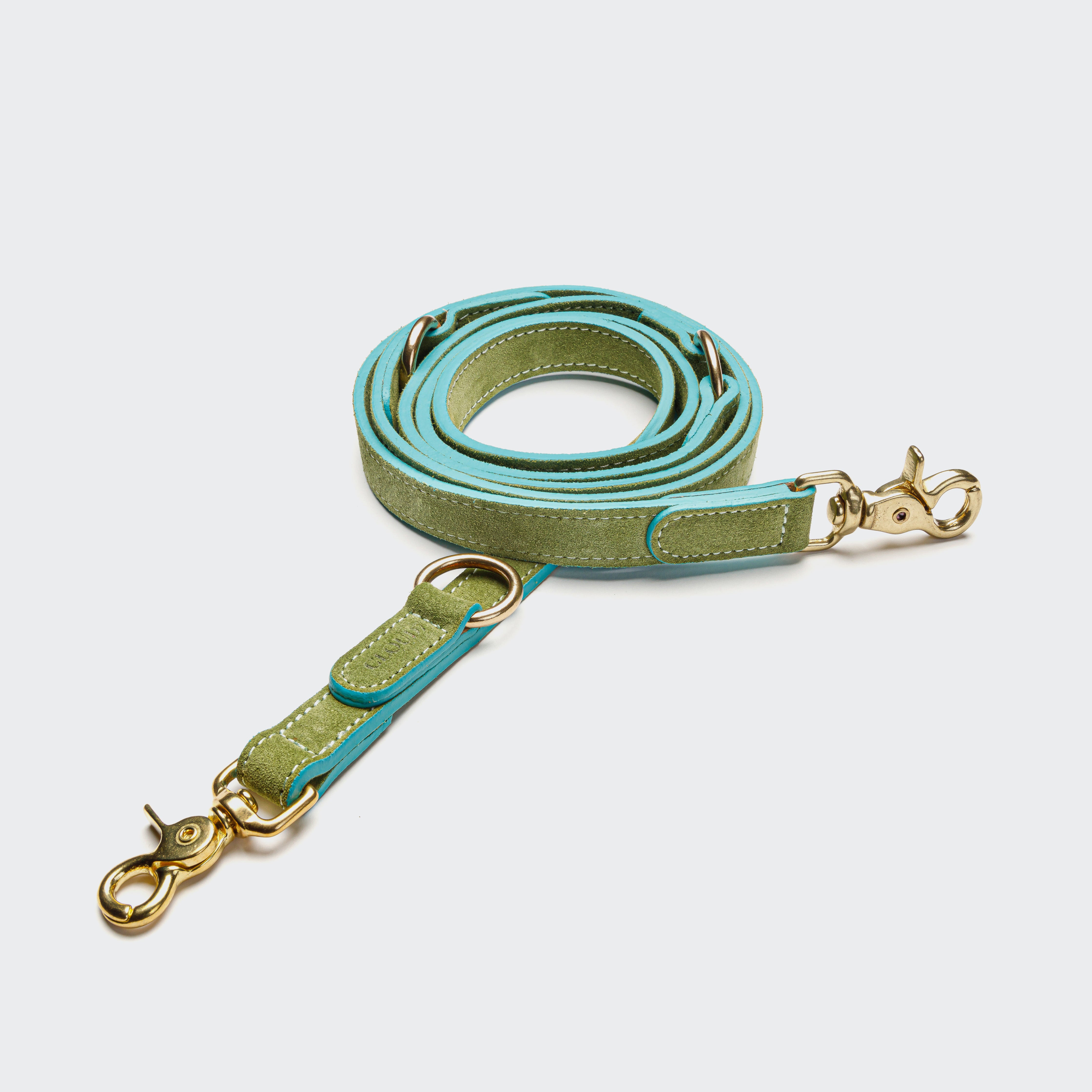 CLOUD7_ Eine grün-türkisfarbene Hundeleine aus Leder mit goldenen Metallklammern und einem Ring, ordentlich aufgerollt vor einem hellgrauen Hintergrund.