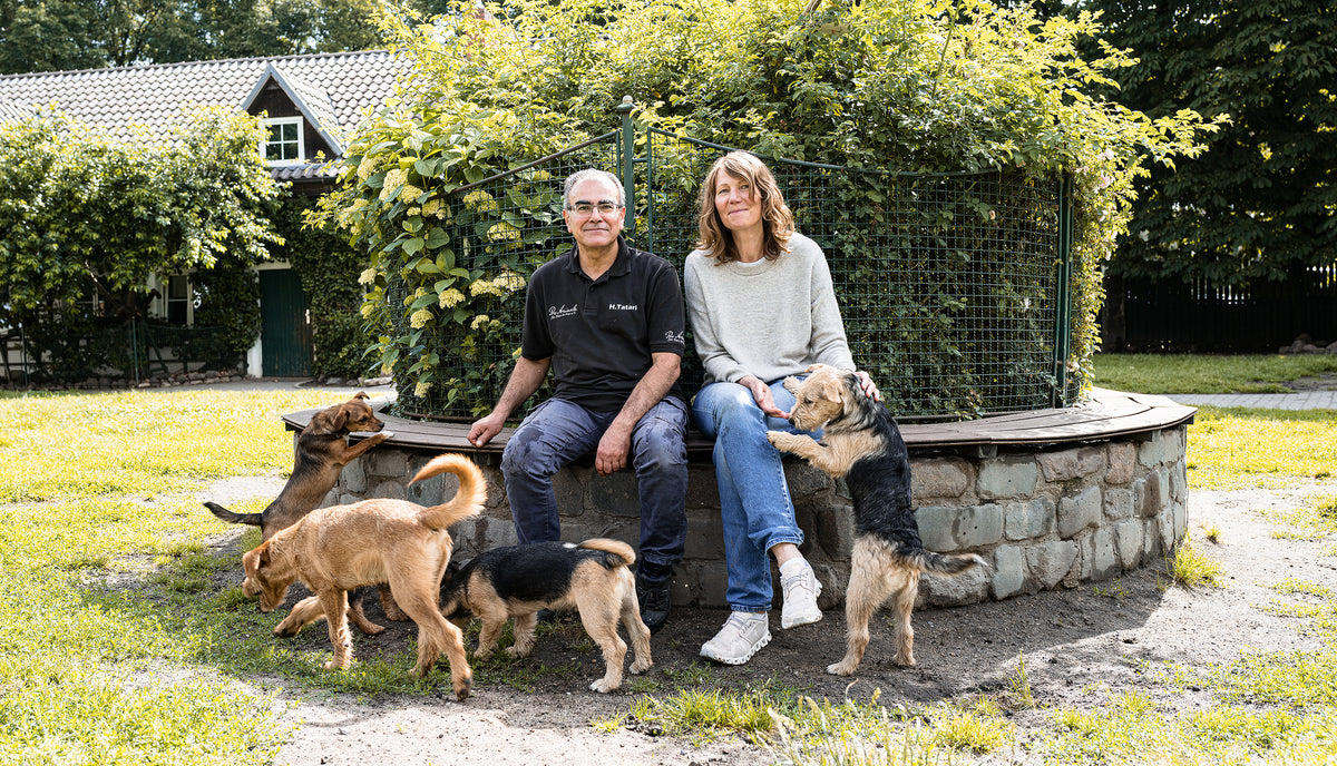 CLOUD7_ Ein Mann und eine Frau sitzen draußen auf einer Steinbank, umgeben von sechs kleinen Hunden. Die Hunde toben um sie herum, und im Hintergrund sind Grünflächen und ein Haus zu sehen.