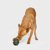 Activity Toy Zeno Dark Olive