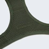 Step-in Harness LTTL Blossoms