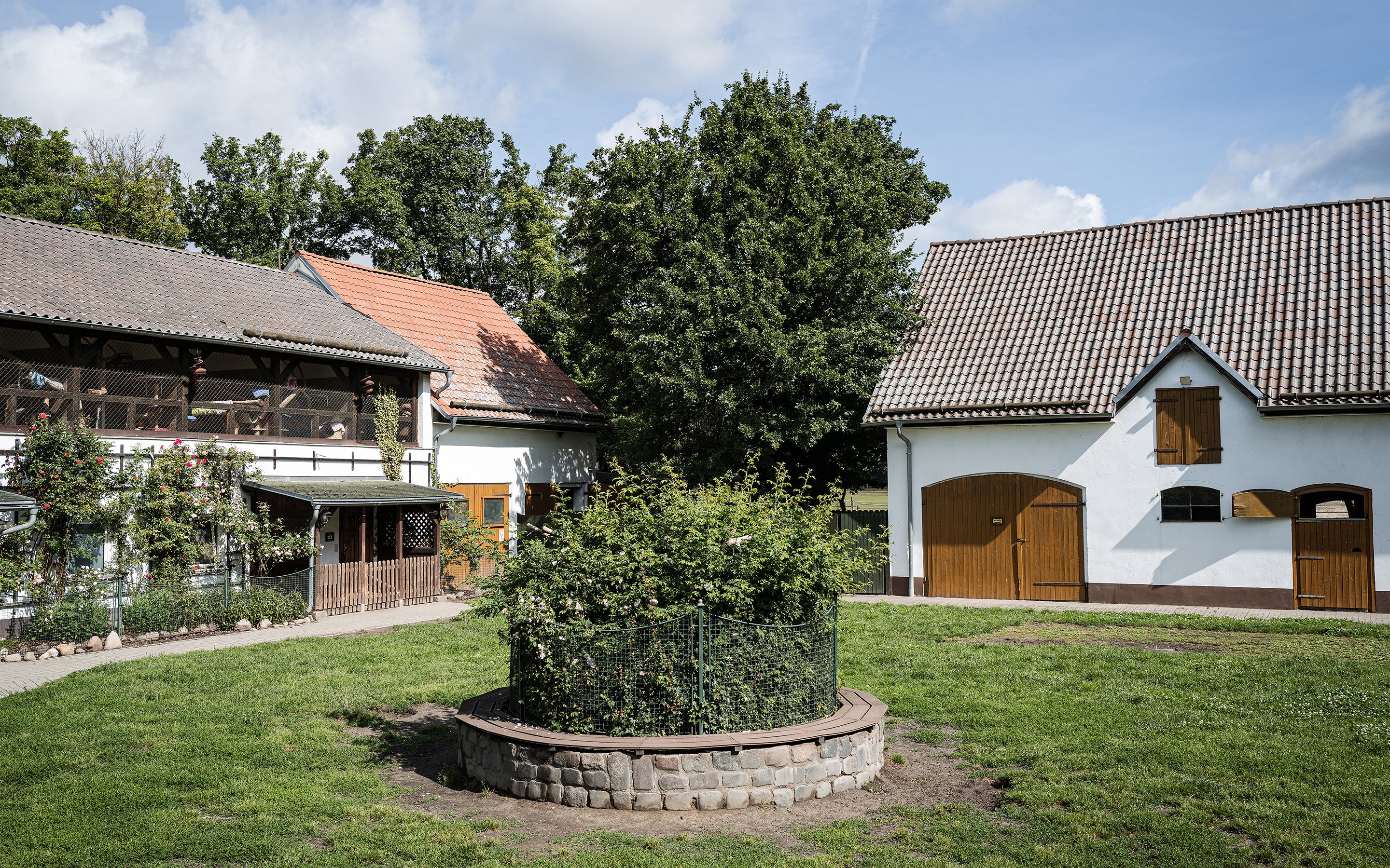 CLOUD7_ Ein grasbewachsener Hof mit einem runden Steinbeet in der Mitte, umgeben von zwei traditionellen Bauernhäusern mit Ziegeldächern und Holztüren, im Hintergrund Bäume unter einem teilweise bewölkten Himmel.