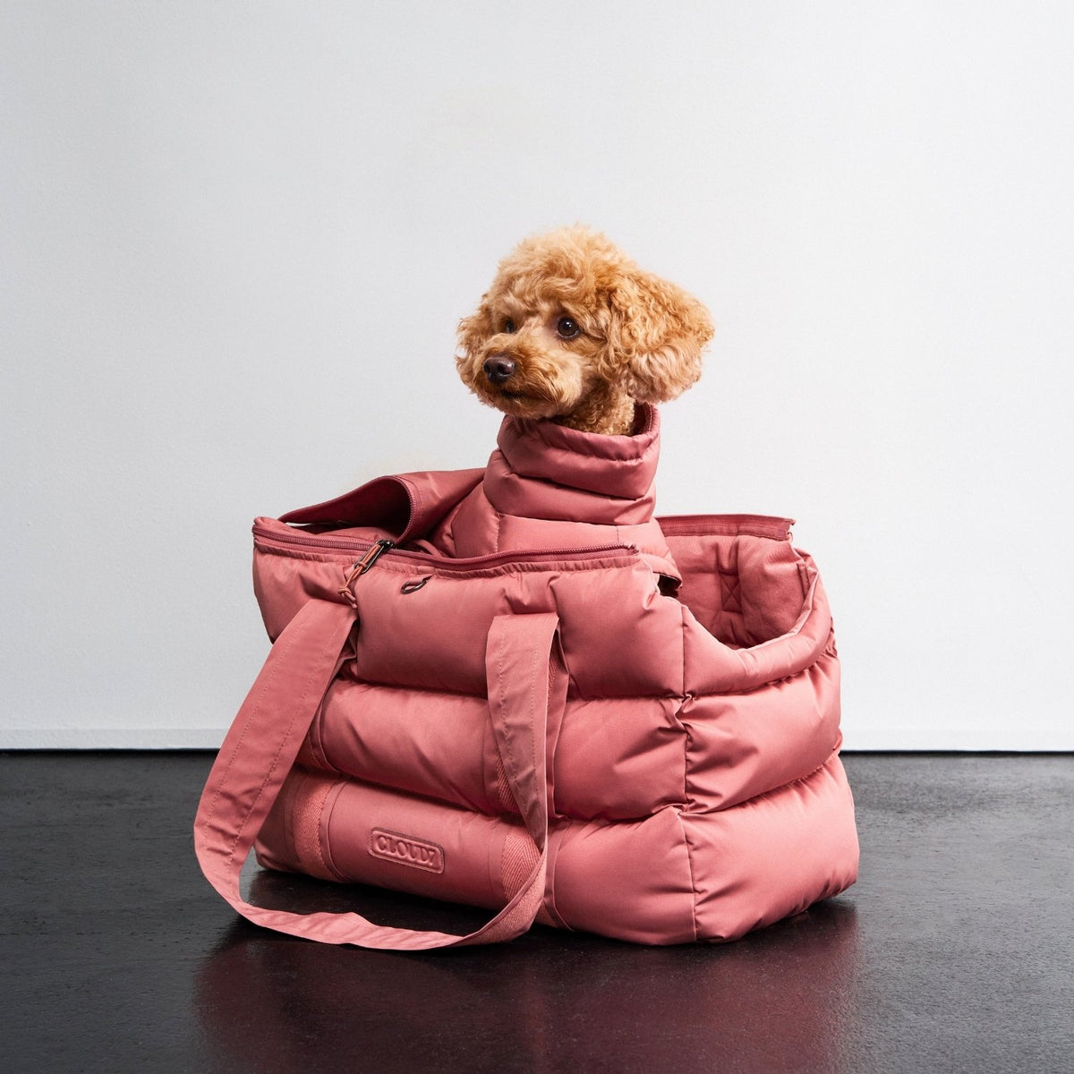 CLOUD7_ Ein kleiner Hund mit lockigem Fell sitzt in einer rosa, bauschigen Tasche, aus der sein Kopf herausragt, sodass es aussieht, als trüge er eine Daunenjacke. Die Tasche steht auf einem dunklen Boden vor einer schlichten weißen Wand.