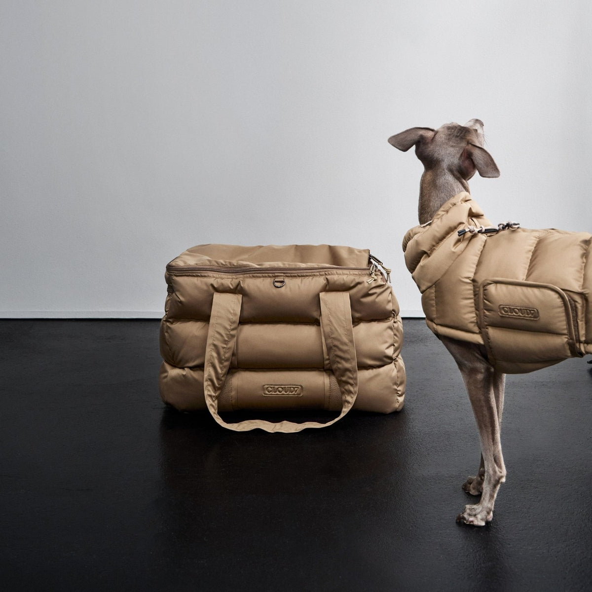 CLOUD7_ Ein kleiner Hund, der eine hellbraune Daunenweste trägt, steht neben einer dazu passenden hellbraunen Daunen-Transporttasche auf einem dunklen Boden, im Hintergrund ist eine schlichte weiße Wand zu sehen.