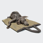 CLOUD7_ Ein langhaariger schwarz-grauer Hund liegt auf einem Hundereisebett & Tote Bag AKTIV Puffer Dark Grey/Khaki mit Henkeln und schaut zur Seite vor einem schlichten weißen Hintergrund.