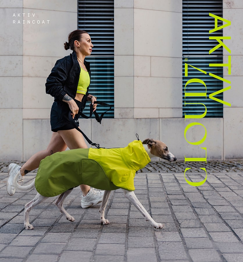 CLOUD7_ Eine Frau joggt mit einem angeleinten Hund, der einen gelbgrünen Regenmantel trägt. Beide wirken aktiv und sportlich und bewegen sich zügig auf einem städtischen Gehweg in der Nähe eines weißen Gebäudes mit blauen Fensterläden.