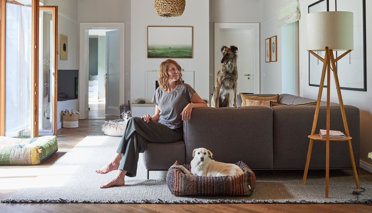 CLOUD7_ Eine Frau sitzt mit zwei Hunden auf einem grauen Sofa in einem hellen Wohnzimmer; ein Hund liegt neben ihr auf dem Sofa, der andere in einem Hundebett auf dem Boden. Durch die großen Fenster auf der linken Seite fällt Licht herein.