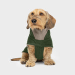 CLOUD7_ Auf einem schlichten weißen Hintergrund sitzt ein kleiner brauner Hund mit Drahthaar, der den Hundemantel Dackel Brooklyn Flanell Fern Green trägt, die Ohren gespitzt hat und die Rute ruhig auf dem Boden liegen lässt.