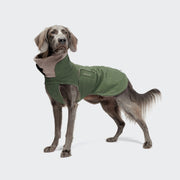 CLOUD7_ Ein grauer Hund trägt den Hundemantel Brooklyn Long Flannel Fern Green. Er steht mit gespitzten Ohren und leicht erhobener Rute auf einem hellgrauen Hintergrund und schaut aufmerksam.