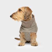 CLOUD7_ Ein kleiner, ungepflegter Hund mit hellbraunem Fell sitzt nach links gewandt und trägt einen beigen Hundemantel Dackel Brooklyn Tweed mit hohem Kragen vor einem schlichten weißen Hintergrund.