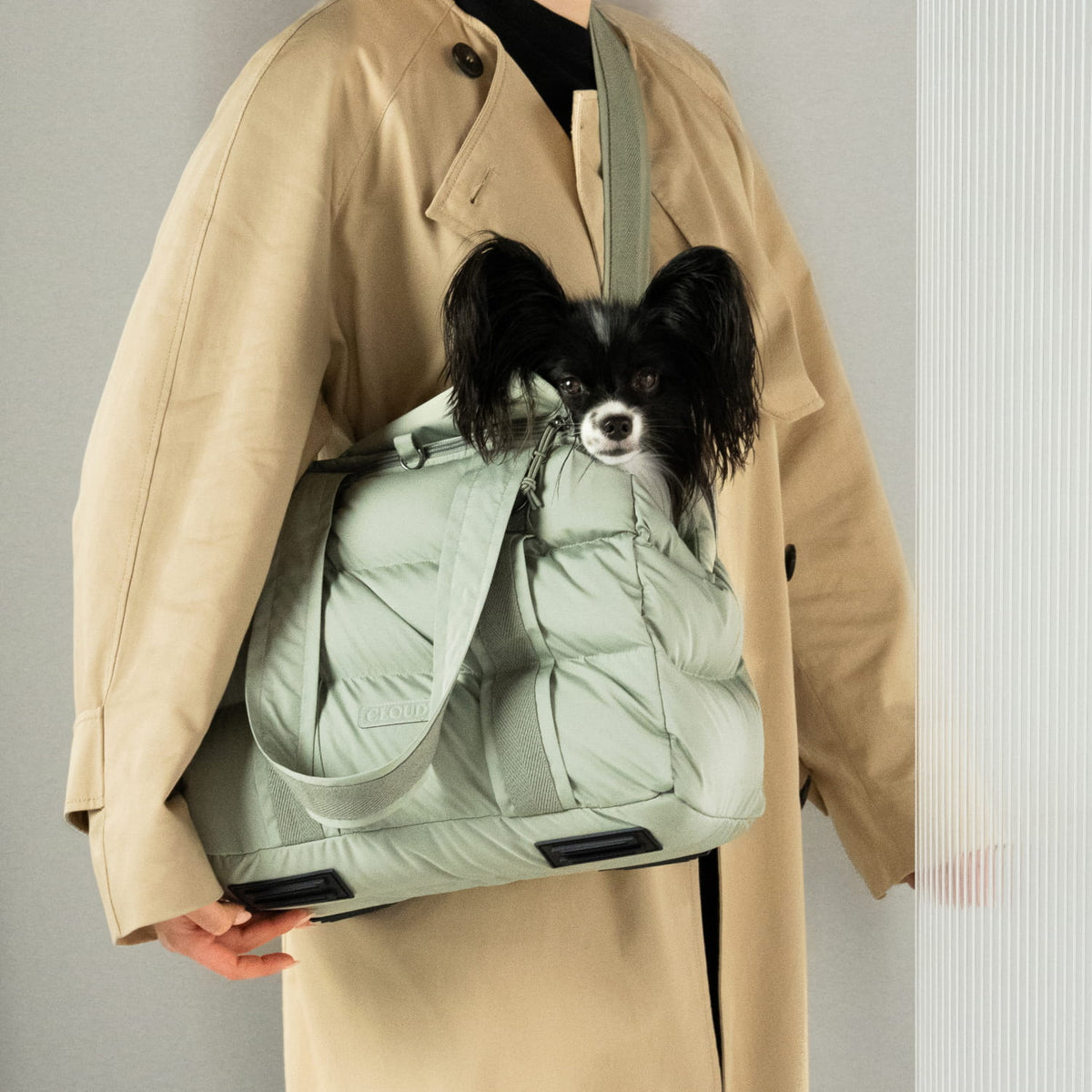 Hundetasche Montreal 2.0 Dusty Mint