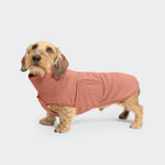 CLOUD7_ Ein kleiner, drahtig behaarter Kaninchendackel trägt den Hundepullover Dackel Fleece Derby 2.0 Faded Rose, steht auf einem schlichten hellgrauen Hintergrund und schaut neugierig auf.