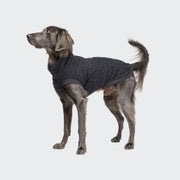 CLOUD7_ A gray dog wearing the Hundepullover Gotland Anthra stands on a light background, facing left with its tail curled upward.
