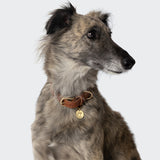 Dog Collar Hyde Park Cognac