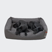 Zwei schwarze Hunde auf einem „Outdoor Hundebett Sleepy Deluxe Light Graphite“.