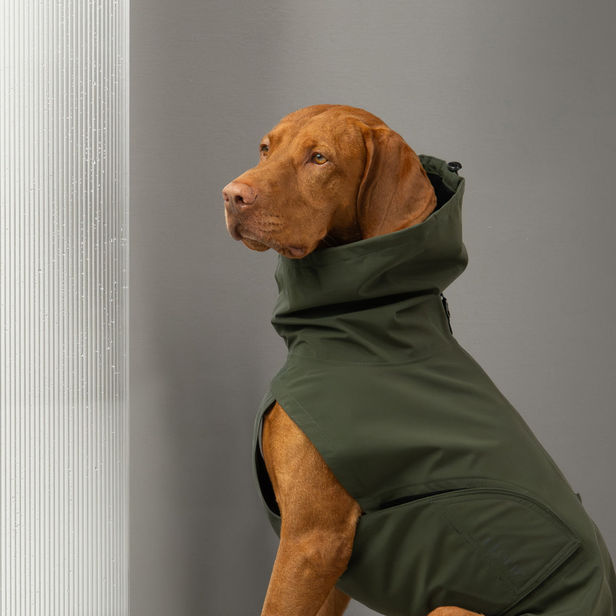 Dog Raincoat Dublin 2.0 Dark Olive