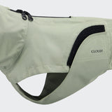 Dachshund Raincoat Dublin 2.0 Dusty Mint