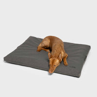 CLOUD7_ Ein brauner Hund liegt auf dem Outdoor Hundebett Siesta Light Graphite, einem großen, rechteckigen Bett mit waschbarem, wasserabweisendem Bezug, vor einem schlichten weißen Hintergrund.