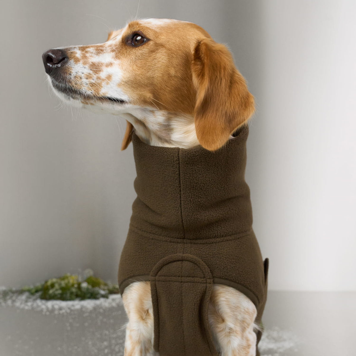 Hundepullover Derby 2.0 Coffee