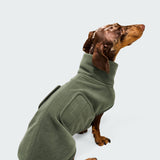 Hundepullover Dackel Derby 2.0 Khaki