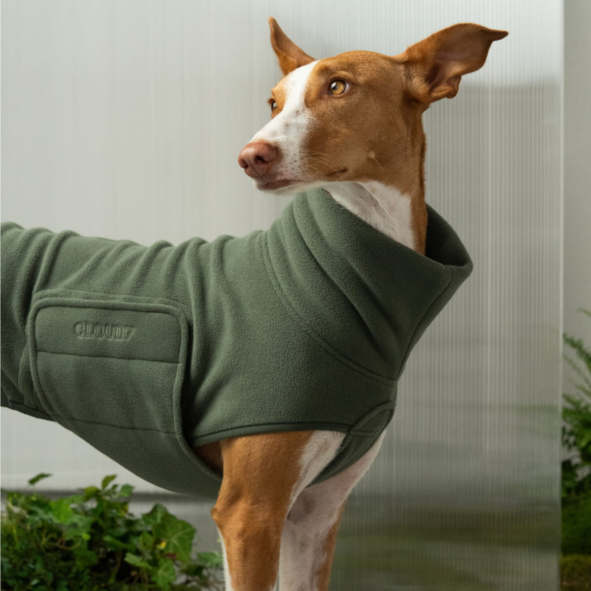 Dog Sweater Derby 2.0 Khaki
