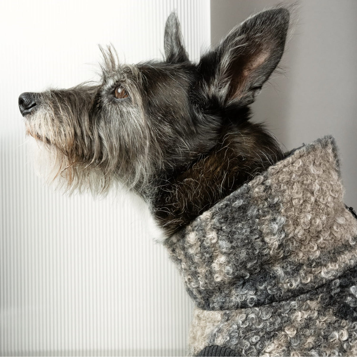 Hundepullover Gotland Sandy Brown