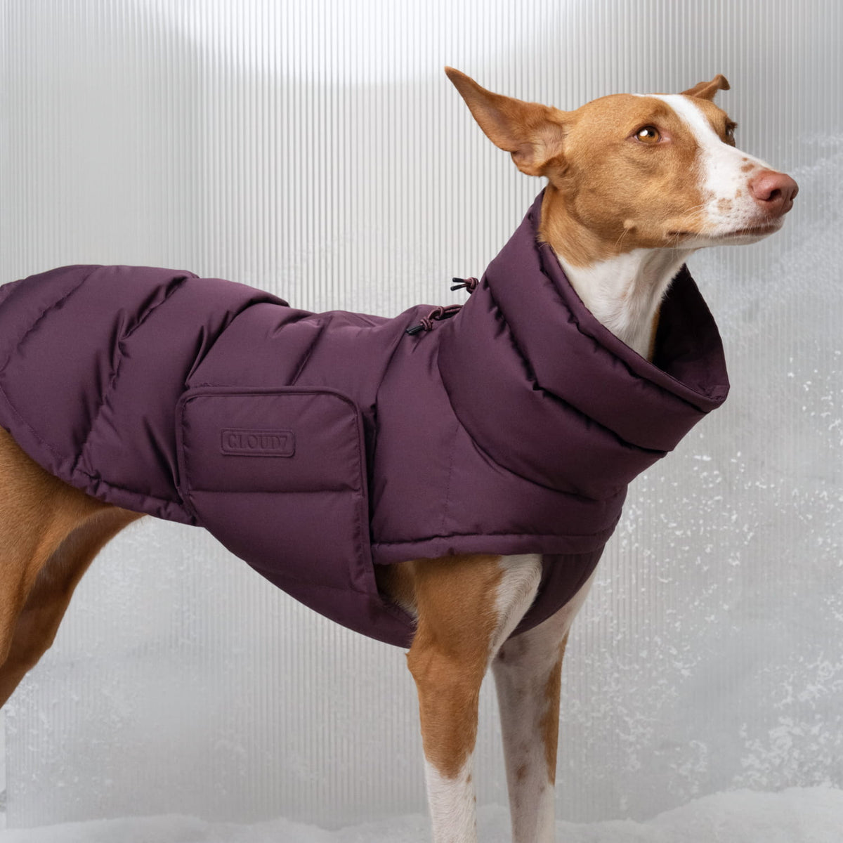 Hundemantel Alaska Dark Aubergine