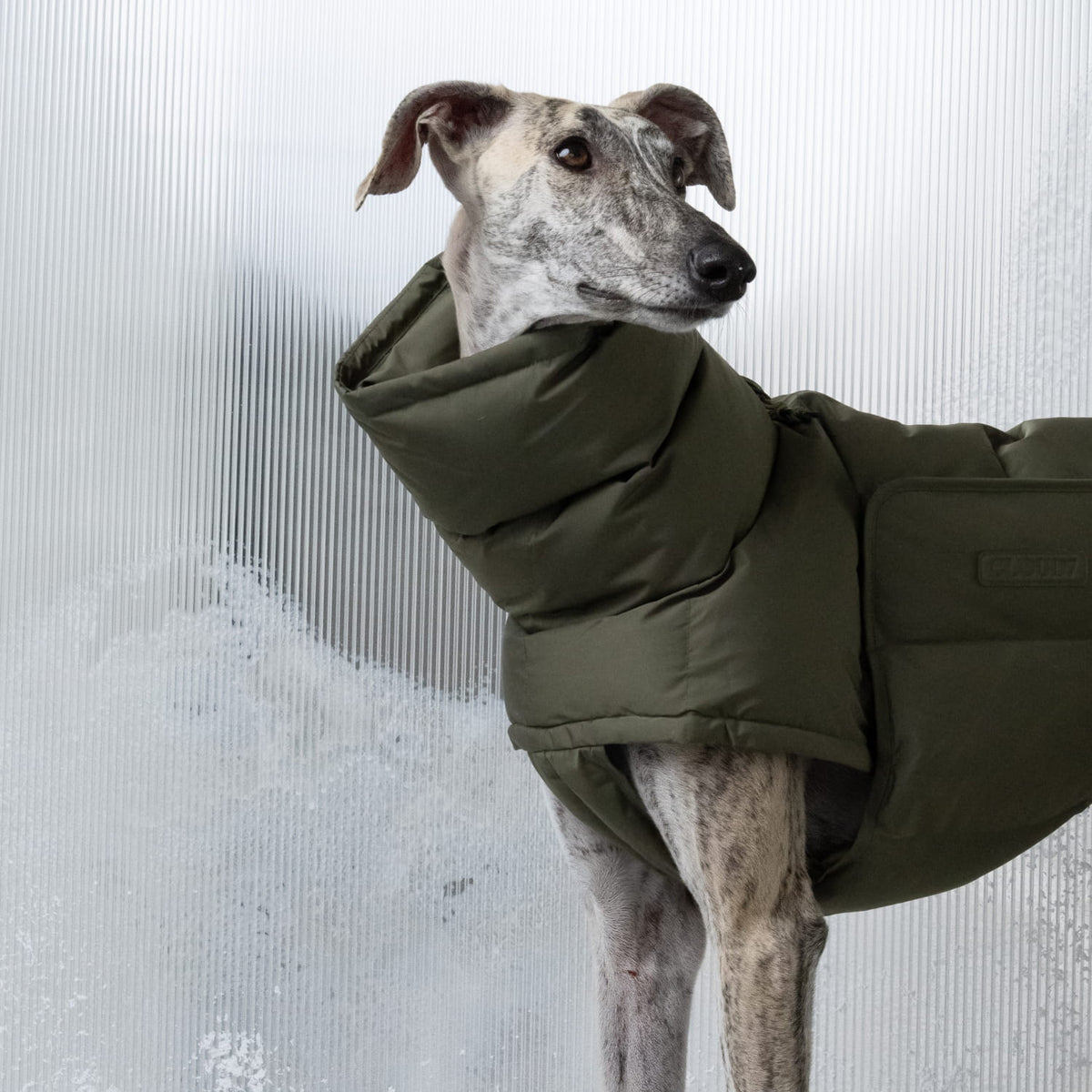 Hundemantel Alaska Light Olive