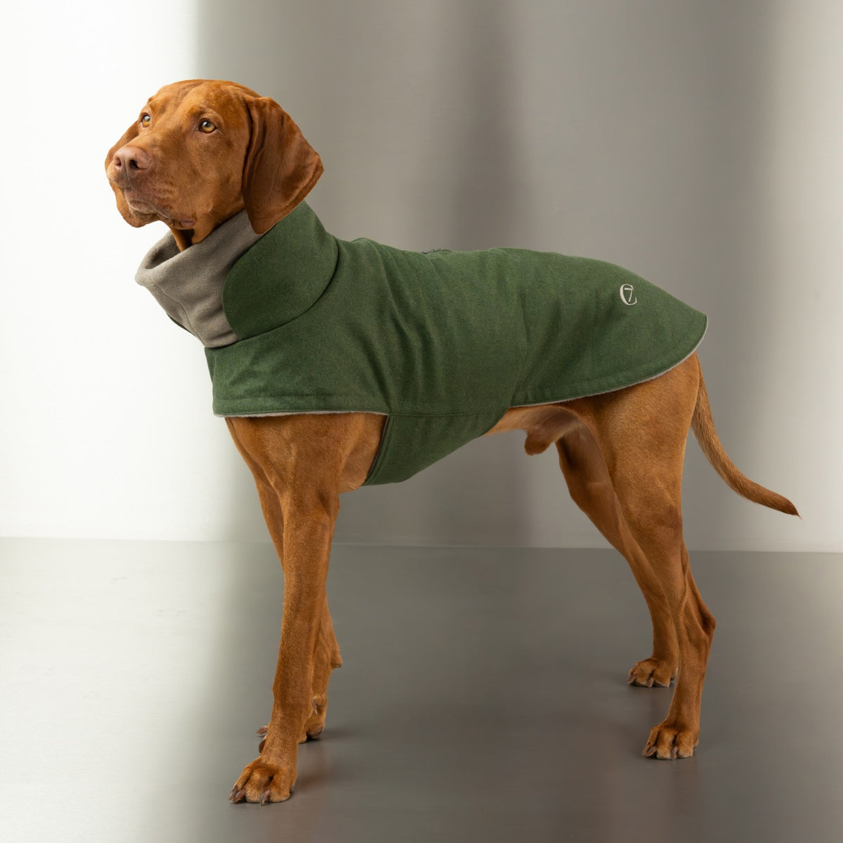Hundemantel Brooklyn Flannel Fern Green