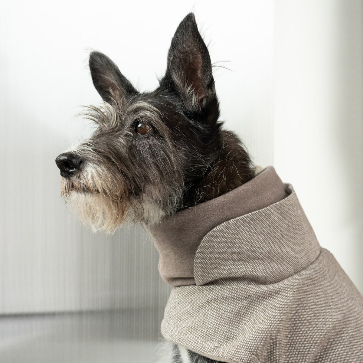 Dog Coat Brooklyn Tweed Beige