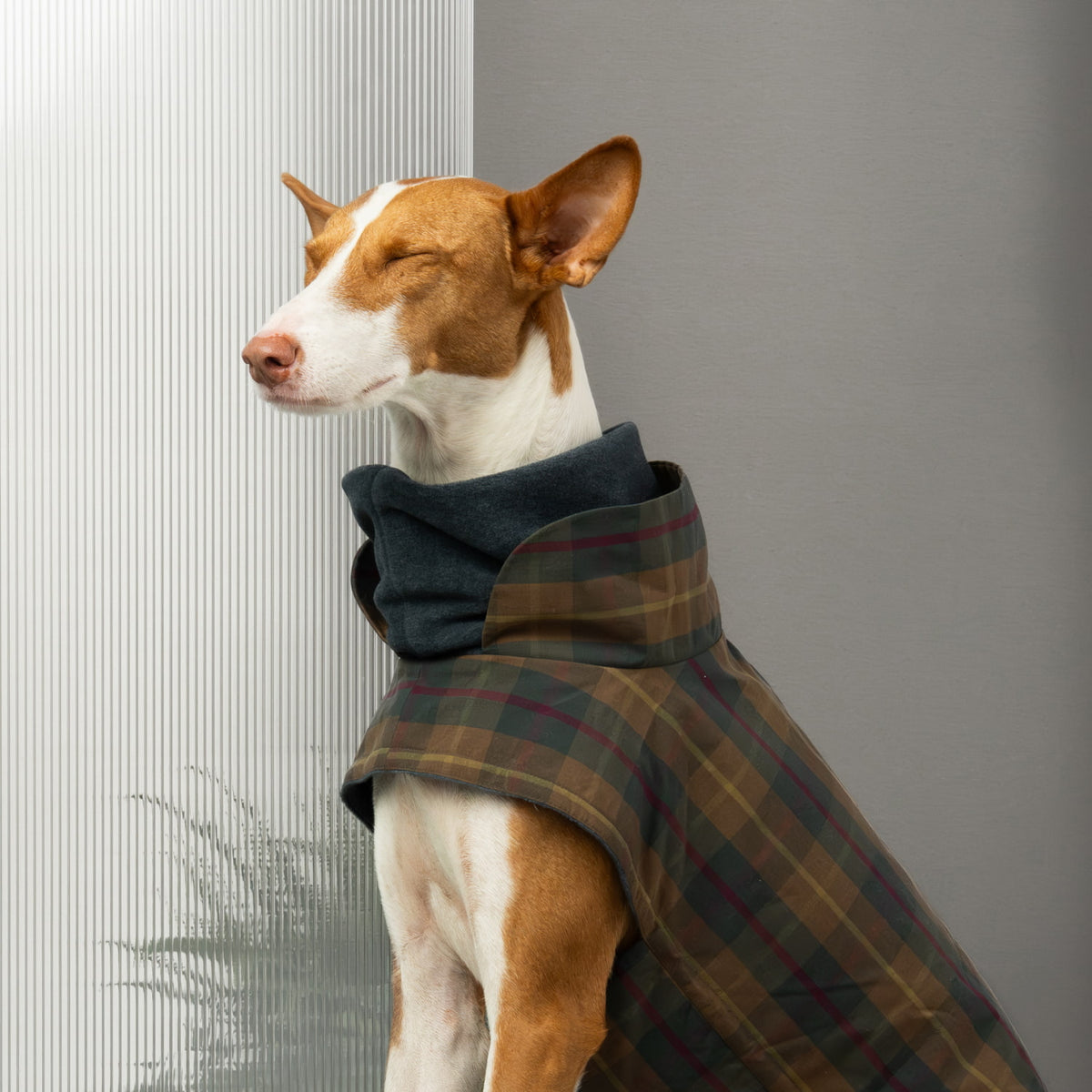 Hundemantel Brooklyn Waxed Tartan