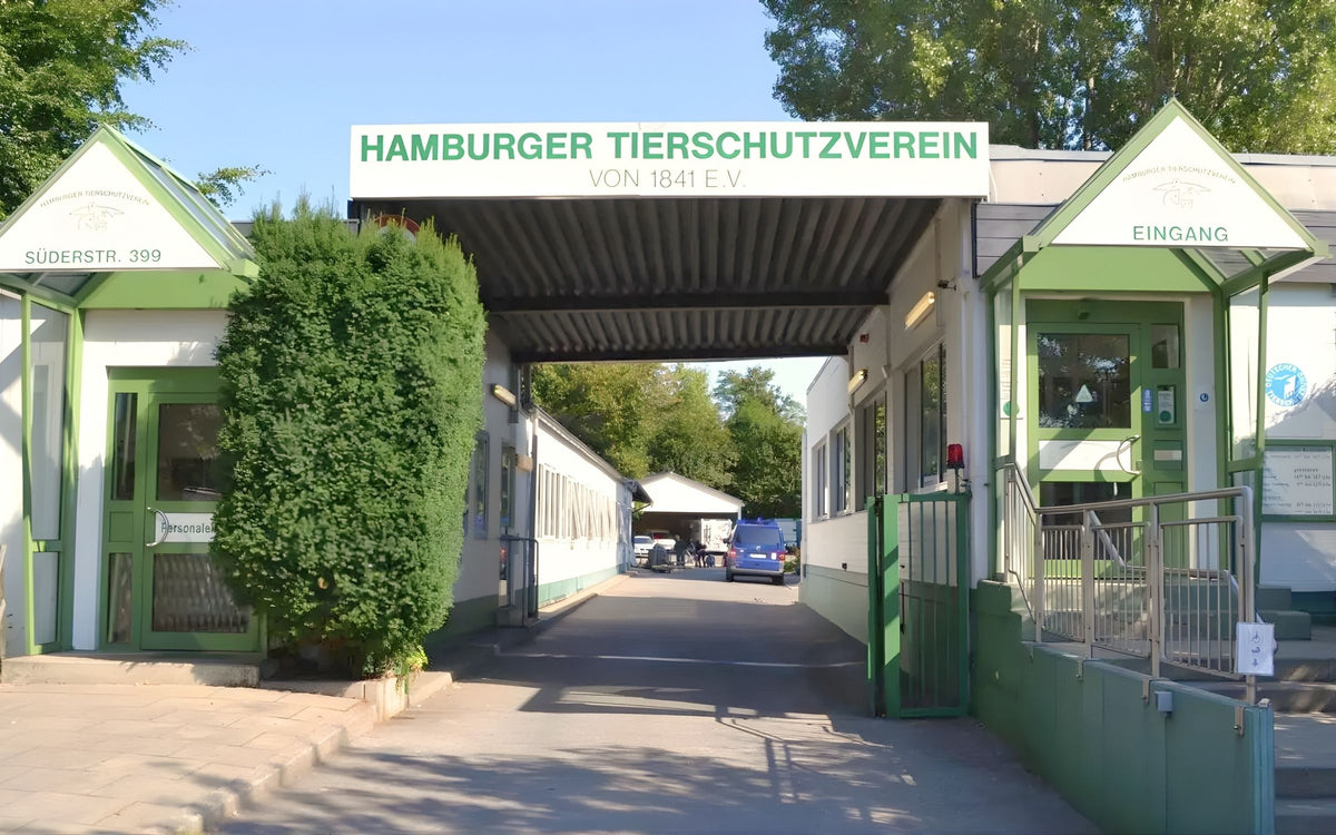 CLOUD7_ Eingang zum Tierheim des Hamburger Tierschutzvereins mit grün-weißen Gebäuden, einem Schild darüber und Bäumen im Hintergrund.