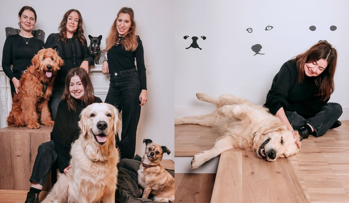 CLOUD7_ Vier Frauen posieren mit drei Hunden und einer französischen Bulldogge auf einem Sims. Auf dem zweiten Bild sitzt eine Frau auf dem Boden und streichelt einen großen, liegenden Golden Retriever, während an der Wand minimalistische Hundekunst zu sehen ist.