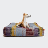 CLOUD7_ Ein hellbrauner und weißer Hund liegt auf einem bunten, karierten Hundebett Cube Tartan Purple mit waschbarem Bettbezug und blickt nach rechts vor einem schlichten weißen Hintergrund.