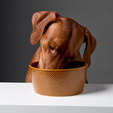Hundenapf Alain Cinnamon