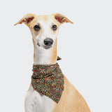 CLOUD7_ Ein hellbrauner Hund mit weißer Schnauze und Brust trägt das Hundehalstuch Bandana Botanical Night um den Hals, sitzt vor einem schlichten hellen Hintergrund und schaut mit aufmerksamen Ohren direkt in die Kamera.
