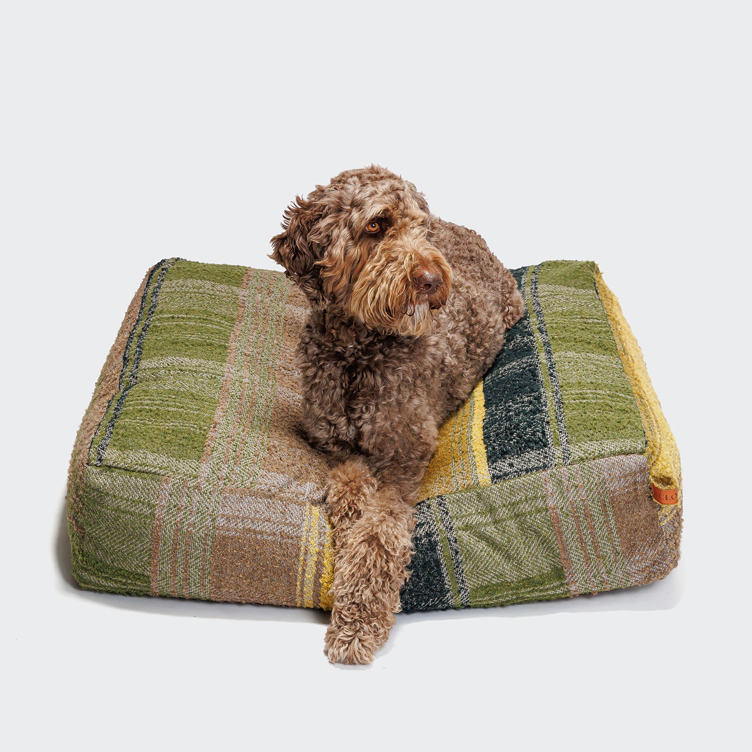 CLOUD7_ Auf dem Hundebett Cube Tartan Green, einem grün-gelb-beige karierten Bett aus Bio-Baumwolle, liegt ein lockiger brauner Hund und blickt leicht zur Seite.