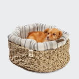 CLOUD7_ Ein kleiner brauner Hund liegt gemütlich in dem runden Hundekorb Lazy Linen Stripes Natural/Blue mit gepolstertem, gestreiftem Futter auf weißem Hintergrund.