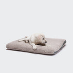 CLOUD7_ Ein weißer Welpe liegt auf einem weichen, beigen Hundebett Siesta Teddy aus Bio-Baumwolle und blickt nach rechts auf einen schlichten weißen Hintergrund.