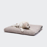 CLOUD7_ Ein weißer Welpe liegt auf einem weichen, beigen Hundebett Siesta Teddy aus Bio-Baumwolle und blickt nach rechts auf einen schlichten weißen Hintergrund.