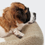 Dog Bed Sleepy Deluxe Curl Cream