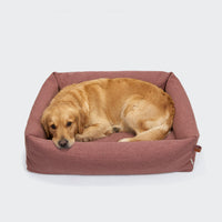 CLOUD7_ Ein Golden Retriever liegt zusammengerollt in einem rechteckigen Hundebett Sleepy Leinen-Mix Faded Rose Mélange mit abnehmbarem Bezug und sieht entspannt und gemütlich aus vor einem schlichten hellen Hintergrund.