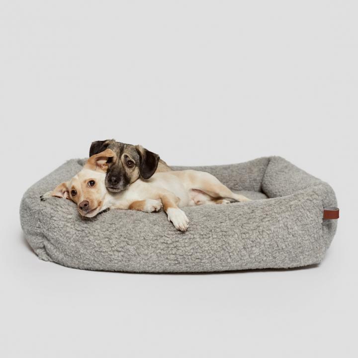 CLOUD7_ Zwei Hunde liegen zusammen in einem weichen, grauen Hundebett vor einem schlichten, hellen Hintergrund. Ein Hund hat seinen Kopf auf den anderen gelegt, und beide wirken entspannt und wohl.