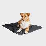 CLOUD7_ Ein kleiner brauner und weißer Hund liegt auf einem Hundedecke Soft Fleece Dark Grey vor einem schlichten weißen Hintergrund.