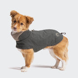 CLOUD7_ A small brown and white dog wearing the Hundemantel Brooklyn Light Graphite stands on a plain white background, looking towards the camera.