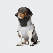 CLOUD7_ Ein Dackel mit schwarzem, braunem und weißem Fell sitzt auf einem hellen Hintergrund und trägt den Hundemantel Dackel Brooklyn Reflective - eine hellgraue Isolierjacke, die Hals und Körper im Winter wärmt.