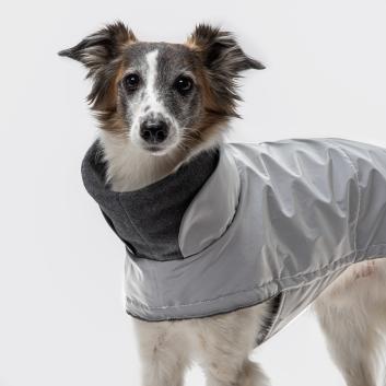 CLOUD7_ Ein Hund mit weiß-braunem Gesicht trägt eine glänzende silber-schwarze Jacke und steht vor einem schlichten weißen Hintergrund.