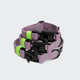 Dog Collar BioThane Ipanema Lilac